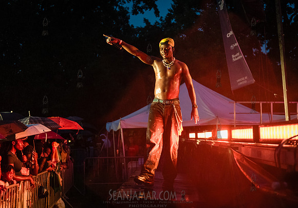 Dan Price The Artist - CPF SummerStage - GhanaFest - Crotona Par