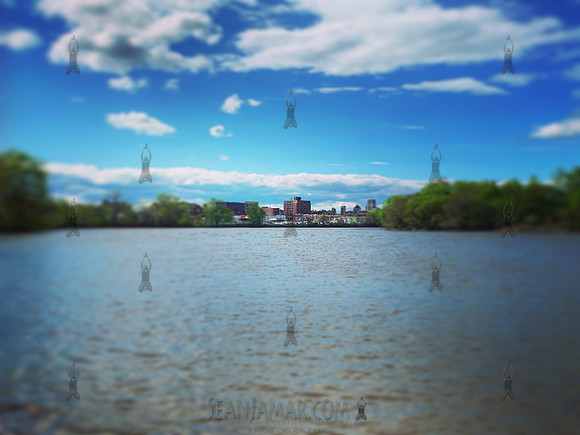 Foschini Park