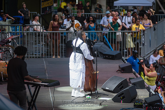 Aneesa Strings - CPF SummerStage - Yussef Dayes - Rumsey Playfie