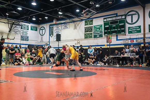 PSAL Girls Individual Championships - Harry S Truman HS - NYC -