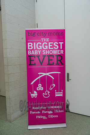 Big City Moms - Metropolitan Pavilion - NYC - 2016