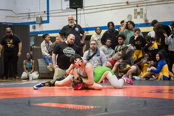 PSAL Girls Individual Championships - Harry S Truman HS - NYC -