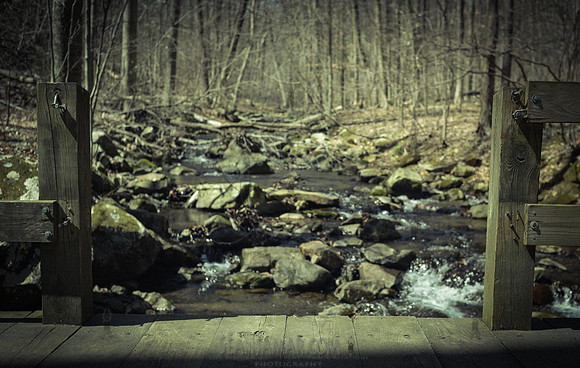 Adventure Day - Hacklebarney State Park - Chester NJ - 2021