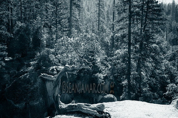 Adventure Day - Chilnualna Falls Hike - Yosemite National Park - Wawona CA - 2017