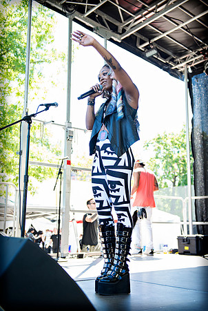 Afropunk Festival - Commodore Barry Park - BK USA - 2013