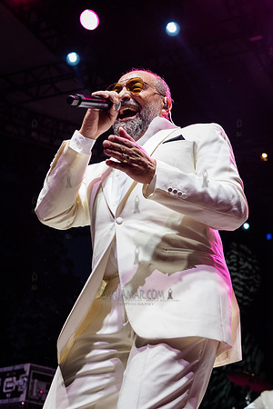 Alain Perez - NYC SummerStage - Celia Cruz Celebration - Rumsey