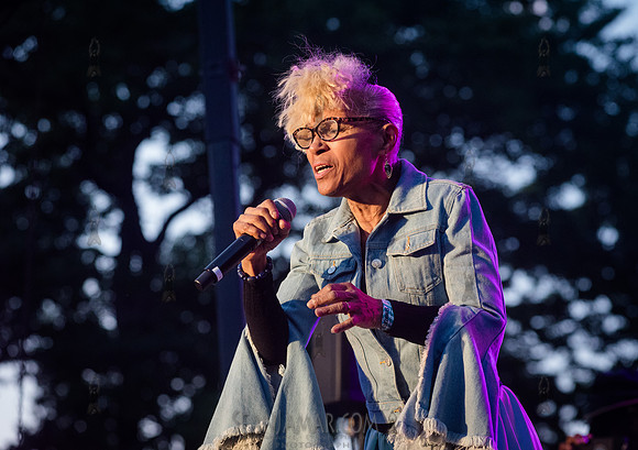 Fonda Rae - NYC SummerStage - Doug E Fresh + Funk Flex Hip Hop A