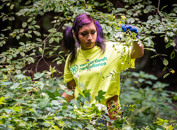 NYC Green Fund - Van Cortlandt Park Alliance Intern Training - V
