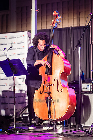 NYC SummerStage - Terri Lyne Carrington We Insist 2025! - Marcus