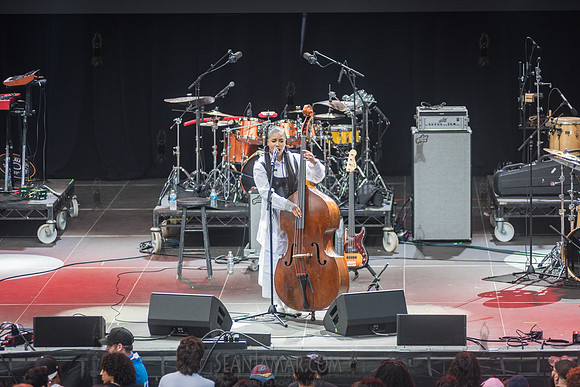 Aneesa Strings - CPF SummerStage - Yussef Dayes - Rumsey Playfie