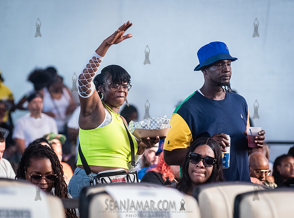NYC SummerStage - GorillaFest - Coney Island Amphitheater - NYC