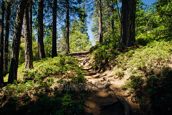 Adventure Day - Chilnualna Falls Hike - Yosemite National Park - Wawona CA - 2017