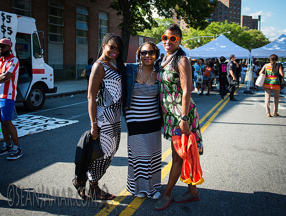 Afropunk Festival - Commodore Barry Park - BK USA - 2014