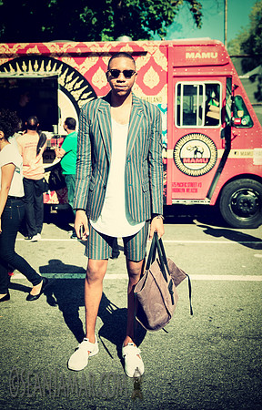 Afropunk Festival - Commodore Barry Park - BK USA - 2014