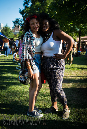 Afropunk Festival - Commodore Barry Park - BK USA - 2014