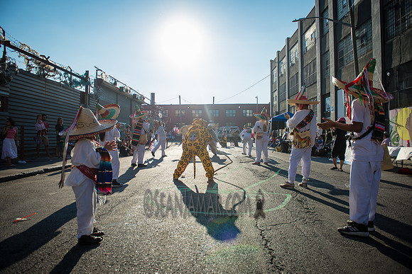 Los Tecuanis De Piaxtla - Live Block Party - Brooklyn Brush - BK USA - 2017