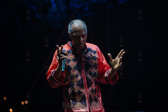 NYC SummerStage - Femi Kuti - Rumsey Playfield - NYC - 2025