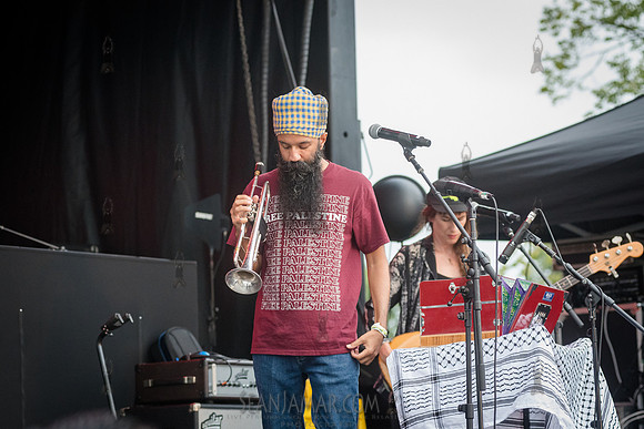 Sonny Singh - NYC SummerStage - DJ Rekha Basement Bhangra - Flus