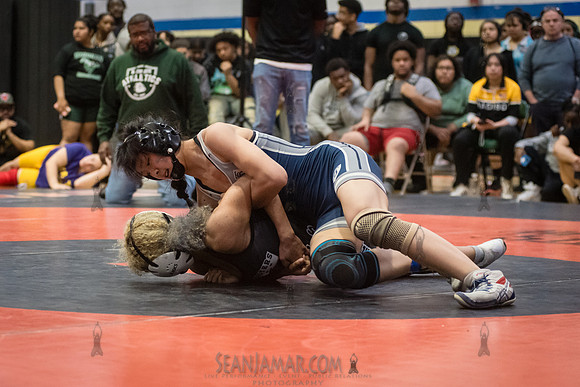 PSAL Girls Individual Championships - Harry S Truman HS - NYC -