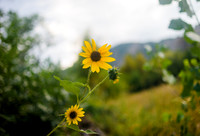 Adventure Day Colorado - Chautaauqua Park - Boulder Co - 2018