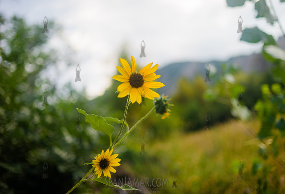 Adventure Day Colorado - Chautaauqua Park - Boulder Co - 2018