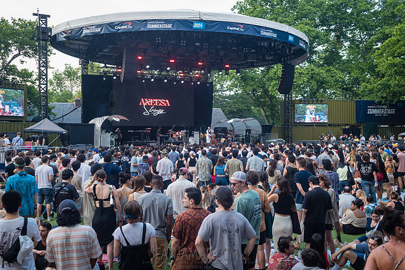 Aneesa Strings - CPF SummerStage - Yussef Dayes - Rumsey Playfie