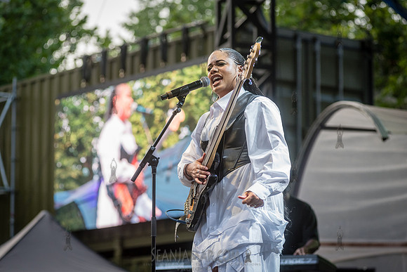 Aneesa Strings - CPF SummerStage - Yussef Dayes - Rumsey Playfie