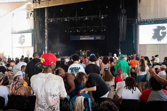 NYC SummerStage - GorillaFest - Coney Island Amphitheater - NYC