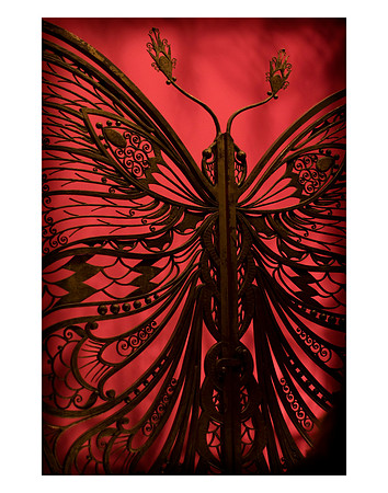 IRON BUTTERFLY