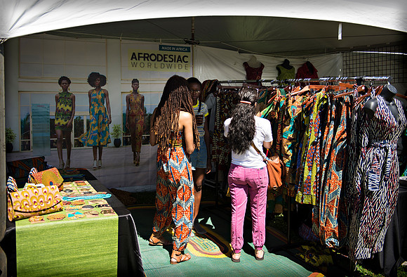 Afropunk Festival - Commodore Barry Park - BK USA - 2013