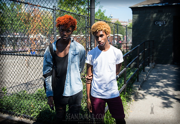 Afropunk Festival - Commodore Barry Park - BK USA - 2013