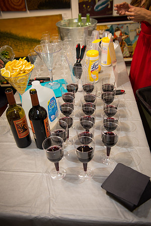 SASF Kickoff to Summer Soiree - Ward Nasse Gallery - NYC - 2015