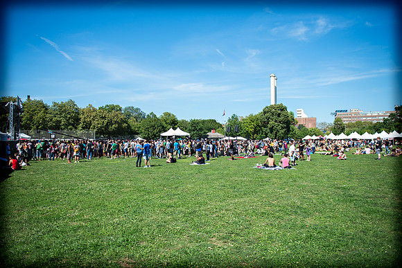 Afropunk Festival - Commodore Barry Park - BK USA - 2013