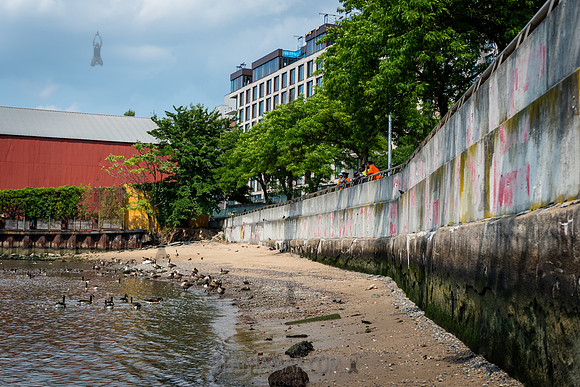 CPF Learn - Coastal Classroom - Hallets Cove - NYC - 2024