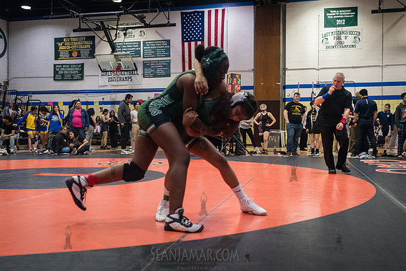 PSAL Girls Individual Championships - Harry S Truman HS - NYC -