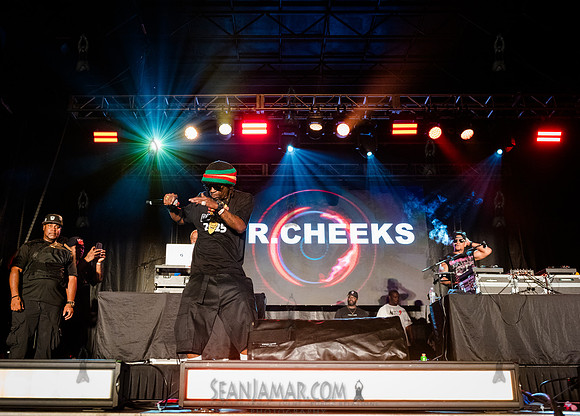 Mr Cheeks - CPF SummerStage - Chuck Chillout 40th Radio Anniv -