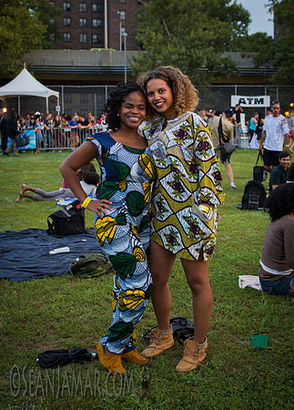 Afropunk Festival - Commodore Barry Park - BK USA - 2014