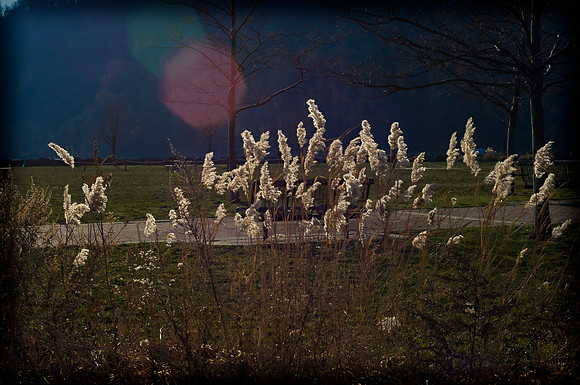 Morningside Lane - Album shoot, Ross Boat Basin, Fort Lee NJ 2010