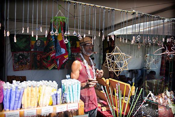 Afropunk Festival - Commodore Barry Park - BK USA - 2013
