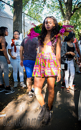 Afropunk Festival - Commodore Barry Park - BK USA - 2014