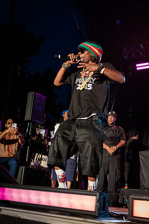 CPF SummerStage - Chuck Chillout 40th Radio Anniv - Crotona Park