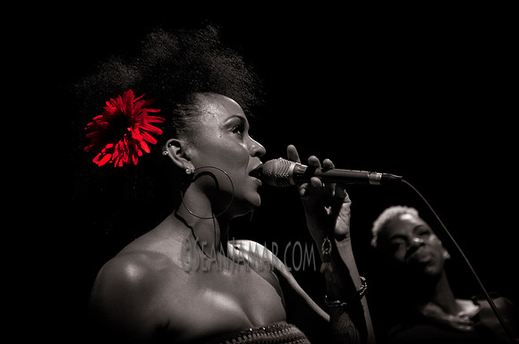 Maya Azucena