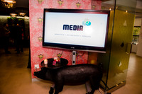 Media IQ - Quarterly Meeting - NYC - 2016