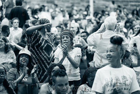 Jeremey McQueens Black Iris Project - Marcus Garvey Park - NYC - 2018