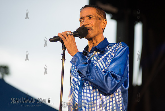 2019-07-06 NYC SummerStage - Ralph McDaniels Soul and Funk Jam - Springfield Park - NYC-130.jpg