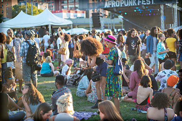 Afropunk Festival - Commodore Barry Park - BK USA - 2013