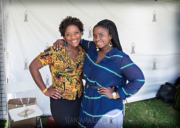 Afropunk Festival - Commodore Barry Park - BK USA - 2013