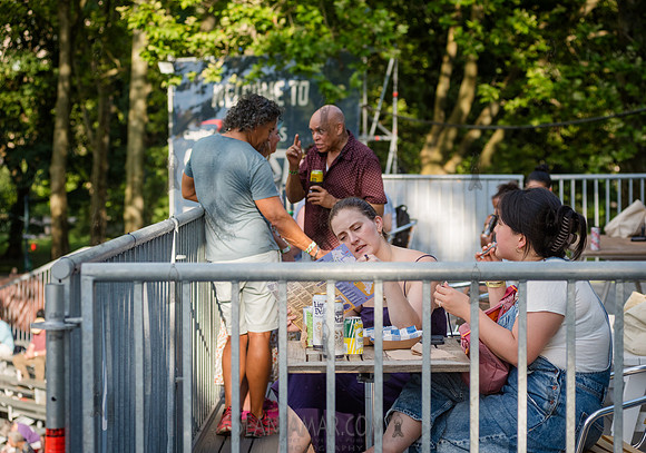 NYC SummerStage - Rhianon Giddens - Rumsey Playfield - NYC - 202