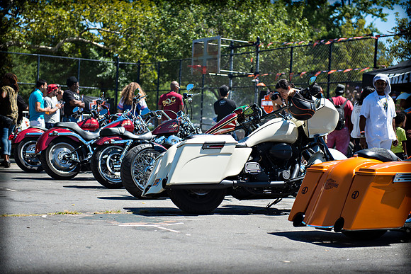 Afropunk Festival - Commodore Barry Park - BK USA - 2013