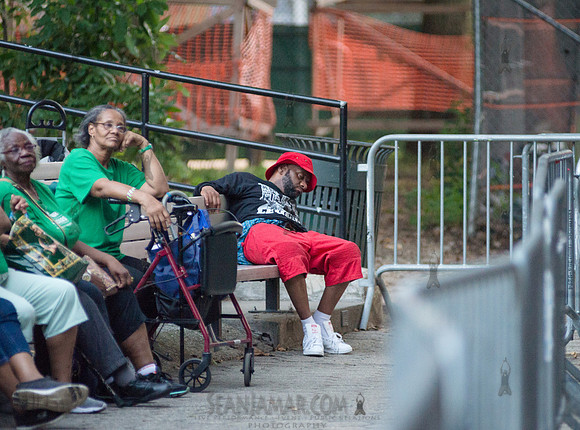 Jeremey McQueens Black Iris Project - Marcus Garvey Park - NYC - 2018